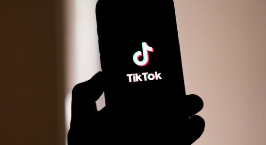 TikTok interdit aux États-Unis : Quelles seront les prochaines étapes ?