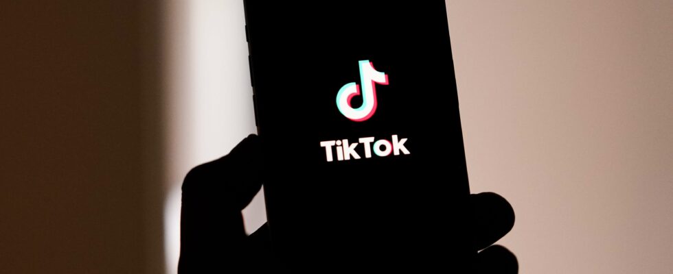 TikTok interdit aux États-Unis : Quelles seront les prochaines étapes ?