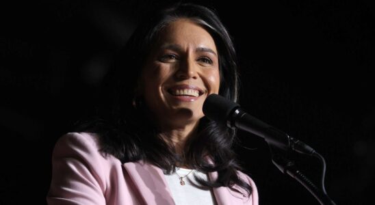 Tulsi Gabbard dénonce des abus de la communauté du renseignement et cherche à instaurer une supervision