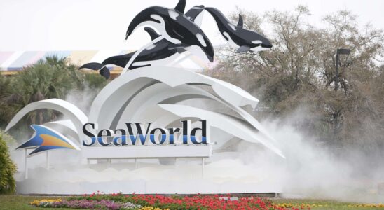 PETA conteste légalement l'accord de SeaWorld pour dénoncer les abus envers les animaux