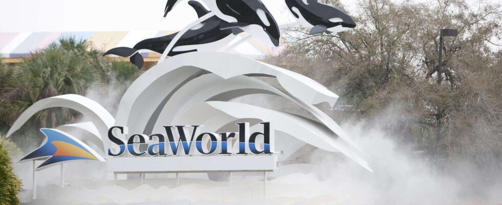 PETA conteste légalement l'accord de SeaWorld pour dénoncer les abus envers les animaux