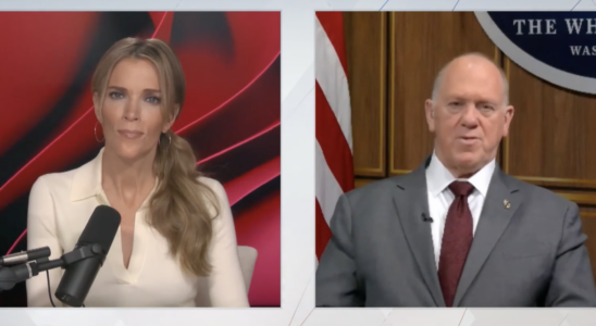 Tom Homan exhorte Megyn Kelly à faire pleurer les démocrates pour les victimes plutôt que pour les déportations en pleine crise frontalière