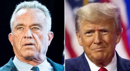 Robert F. Kennedy Jr. s'engage à maintenir les plats préférés de Donald Trump au menu de McDonald's lors d'une audition au Sénat