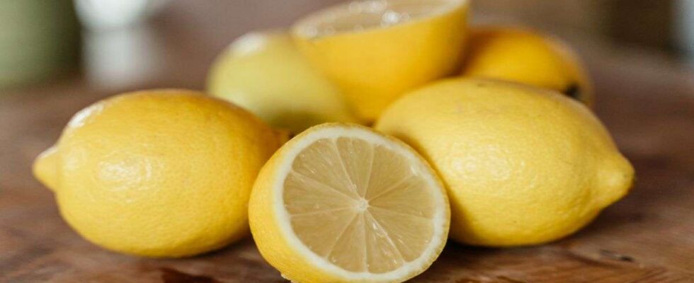 Le citron, un allié multifonction : Comment en profiter pour des fruits frais durant des semaines.