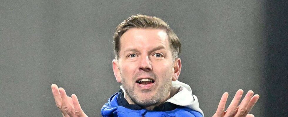 Kohfeldt face à la première crise à Darmstadt 98 : Lilien en quête d'émotion