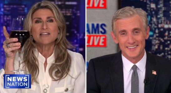 Dan Abrams et Ashleigh Banfield dévoilent les détails de leur relation discrète et confirment s'ils ont échangé un baiser.