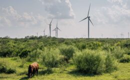 Investir dans la transition énergétique malgré l'ère Trump : Opportunités à saisir