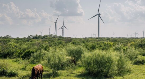 Investir dans la transition énergétique malgré l'ère Trump : Opportunités à saisir