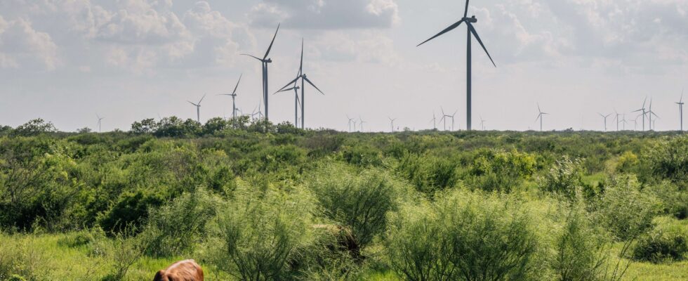 Investir dans la transition énergétique malgré l'ère Trump : Opportunités à saisir