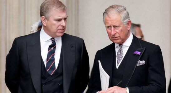 Charles met un terme au soutien financier d'Andrew : découvrez les détails exclusifs sur Harry et Meghan dans un nouveau livre publié par le Mail.