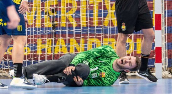 Handball-Bundesliga : Perez de Vargas absent jusqu'en 2026 en raison d'une rupture du ligament croisé