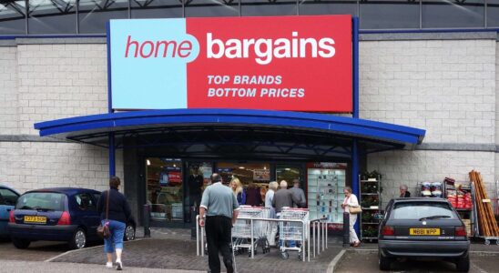 Home Bargains propose un accessoire de jardin tendance à seulement 3,99 £, le meilleur prix du marché.