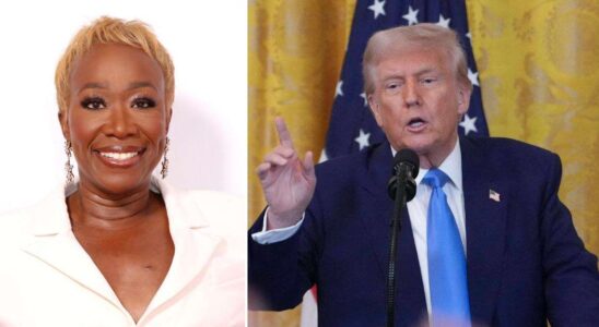 Donald Trump se réjouit de l'annulation de l'émission de Joy Reid sur MSNBC, qualifiant la présentatrice de 'raciste mentalement odieux'