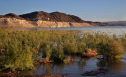 DOGE met fin aux fonctions d'un employé chargé des analyses d'eau au lac Mead.