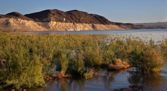 DOGE met fin aux fonctions d'un employé chargé des analyses d'eau au lac Mead.