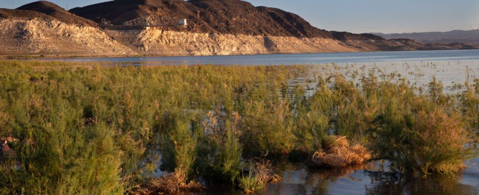 DOGE met fin aux fonctions d'un employé chargé des analyses d'eau au lac Mead.