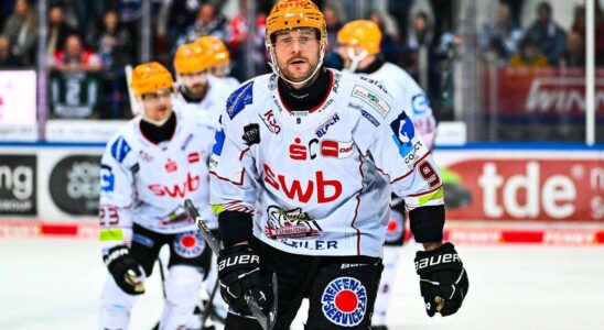 Calendrier intense : Cinq rencontres en une semaine pour les Pinguins de Fischtown