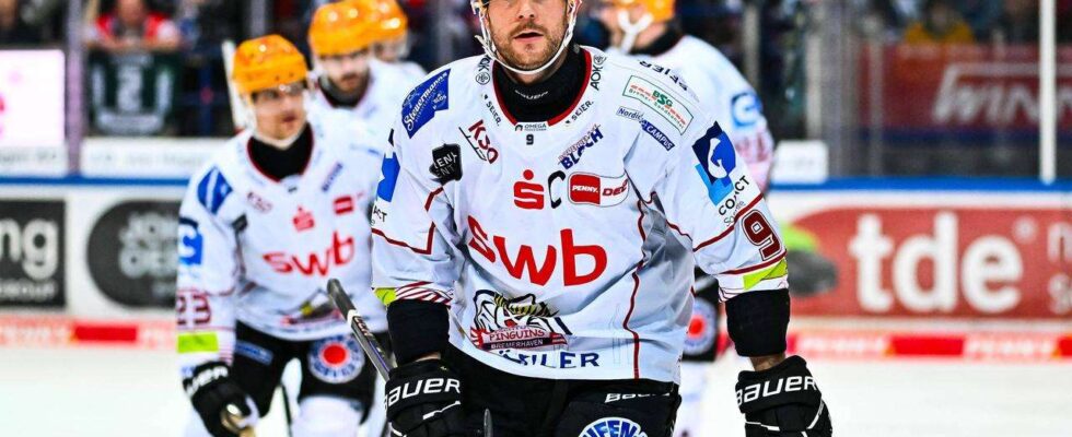 Calendrier intense : Cinq rencontres en une semaine pour les Pinguins de Fischtown